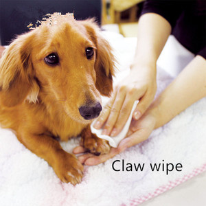 Lingettes nettoyantes pour animaux de compagnie, sûres et douces, lingettes nettoyantes pour les yeux des chiots, lingettes sans alcool pour animaux de compagnie, hypoallergéniques, lingettes pour chats et chiens - Product Image 3