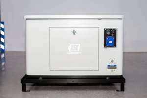 조용한 CNG NG LPG 가스 발전기 5kW 10kW 15kW 단상/삼상 공랭식 저배출 가정용 - Product Image 4