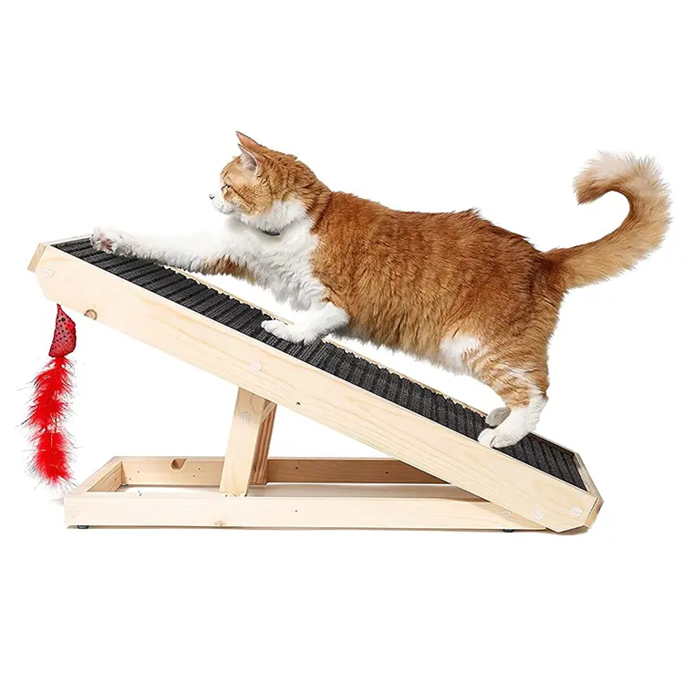 Jouet en bois naturel pour animaux de compagnie pliable chat griffoir tableau rampe pour chats âgés