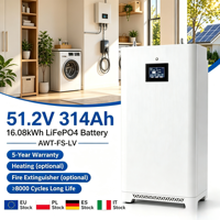 Batterie de stockage d'énergie domestique solaire LiFePO4 DIY 15KWh 51.2V 48V 280Ah 314Ah Modèle T30 8000 Cycles Xdbattery (Stock UE)