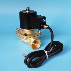 Van điện từ điều khiển khí LPG bằng đồng thau, tác động trực tiếp, 12V/24V/110V/220V DC/AC, 1-1/4 inch, 2 chiều, thường đóng, chống cháy nổ - Product Image 1