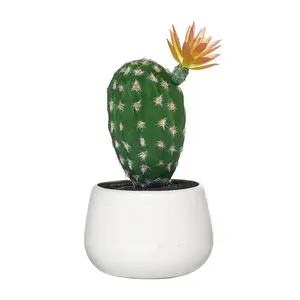 Planteur de fleur de décoration de paysage en pot de plantes d'Opuntia pour décorer