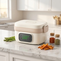 Boîte à lunch électrique sans fil personnalisée de 14000 mAh avec recharge USB, conteneur alimentaire chauffant thermique portable pour bébé