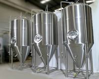 3000L Conical Beer Fermenter Stainless Steel Bright Fermentation Tank