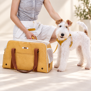 Mochila de Viaje para Mascotas, Plegable, Ligera, Transpirable, Personalizada al por Mayor, OEM y ODM - Product Image 1