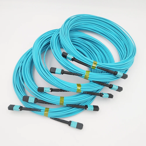 Ruiara OPTICS MPO 8/12/24芯OM4光ファイバーパッチコード（データセンターおよび5Gネットワーク用、1年間保証付き）CN/GUA - Product Image 4
