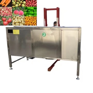carrot washing machine / fruit washer / cleaner
