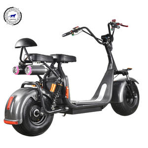 10 년 수출 성인 500 와트 전기 오토바이/지방 타이어 전기 오토바이 EEC 승인 Citycoco - Product Image 1