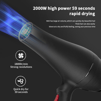 WAIKIL Nouveau Sèche-Cheveux Professionnel Puissant Chauffage Rapide Réglage Chaud et Froid avec Concentrateur d'Air