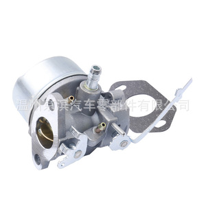 Carburador para Tecumseh 640309 640093 632537 A HSK840, pieza de repuesto mecánica D12 640309 - Product Image 1