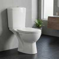 WC de luxe en céramique blanche, deux pièces, à fixation au sol, avec siphon en P ou en S, pour salle de bain