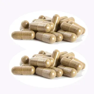 Herbal Supplements Andrographis Extract/andrographis Paniculata Capsules