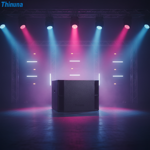 Subwoofer professionnel Thinuna T-15B simple 15 pouces, ultra-basse fréquence, 600W, 8Ω, passif, basses puissantes pour sonorisation PA et spectacles en direct - Product Image 1
