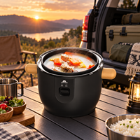 Cuisinière à riz électrique portable 24V 3L pour voiture, avec minuterie numérique et fonction maintien au chaud pour le camping