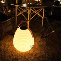 80 Ice Power Amplificateur de voiture LED Lumière de jardin Solaire Camping Étanche Conception de circuits d'éclairage 5V Charge PE Lampes de camping