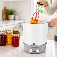Marmite Électrique Économiseur d'Énergie pour Fruits, 27 Litres, Corps Émaillé, Commande Mécanique, Idéale pour Usage Domestique, Commercial et Hôtelier