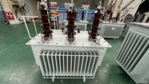 Trasformatore Toroidale Trifase <span class=keywords><strong>Serie</strong></span> H59 H61 1200 kW 11 kV 33 kV 30 kVA 100 kVA 160 kVA 750 kVA 1600 kVA Trasformatore a Immersione in Olio - Product Image 5