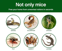 Grandes pièges à souris collantes noires puissantes, à base de gel, écologiques, jetables, pour le contrôle des souris