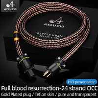 Câble d'alimentation audio HIFI pour amplificateur CD, haute tension, 24 brins, câble d'alimentation tressé OCC, prise standard US EU AU