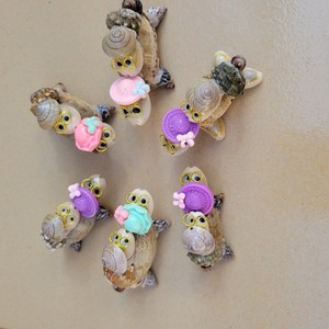 Doppio strato piccolo nero tartaruga artigianale conchiglia madre bambino tartaruga conchiglia conchiglia per decorazioni natalizie piccola bancarella del mercato notturno - Product Image 2