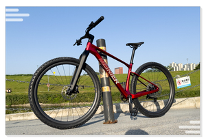 Cuadro de <span class=keywords><strong>Bicicleta</strong></span> de Montaña 29er con Horquilla de Carbono, Tallas S/M/L/XL, Cuadro de <span class=keywords><strong>Bicicleta</strong></span> de Carbono para Freno de Disco con Soporte UDH, Cuadro de <span class=keywords><strong>Bicicleta</strong></span> de Montaña Rígida - Product Image 6