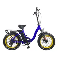 دراجة كهربائية للبالغين بقوة 1000 وات دراجة كهربائية قابلة للطي عريضة 48 فولت للبيع