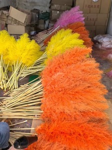 Q-3008 <span class=keywords><strong>pampas</strong></span> fleurs <span class=keywords><strong>pampas</strong></span> erba <span class=keywords><strong>centrotavola</strong></span> <span class=keywords><strong>matrimonio</strong></span> plantes de pampa - Product Image 2