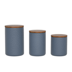 Matte glazed embossment Ceramic Storage Canister jars With Bamboo Lid and Silicone ring