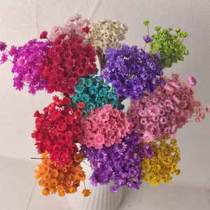 Fleurs séchées brésiliennes naturelles pas chères, mini marguerites séchées pour la fête des mères, la Saint-Valentin, Noël, préservation - Product Image 5