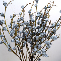 Fleurs d'eucalyptus séchées de haute qualité, fabriquées à partir de fleurs fraîches 100% naturelles, prix d'usine