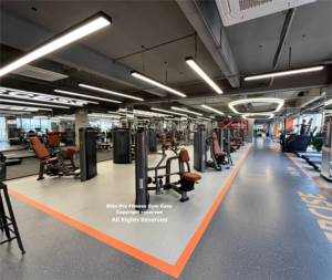 Alat gym komersial, mesin latihan peninggi <span class=keywords><strong>Lateral</strong></span> badan - Product Image 5