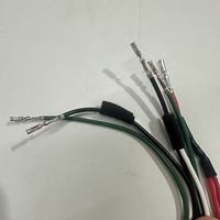 OEM Kustomisasi Berbagai WIRE HARNESS