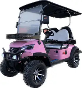中国供应商批发新款高尔夫球车2 + 2座高尔夫球车电池锂电动车高尔夫