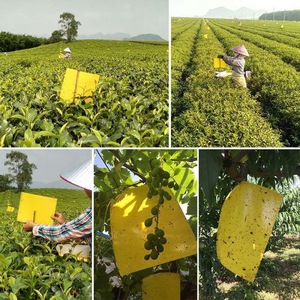 Trampa de pegamento agrícola resistente a los rayos UV, tabla adhesiva impermeable de alta viscosidad para la protección de huertos y jardines - Product Image 6