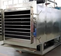 Lyophilisateur par lots Capacité de chargement de 100kg pour le traitement des fruits du dragon Shiitake Champignons Mélangeur de pâte Essentiel pour légumes