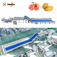Volledig Automatische Sinaasappelverwerkingsmachine Ozonbelwasmachine Fruitborstelwasmachine Appelsorteer- en -graderingslijn