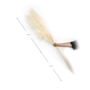 หญ้าปอมปาดัสทรงสูงสำหรับตกแต่ง2023สีเทา/ขาวธรรมชาติต้นไม้ขนนกแห้งสไตล์ดรีมพิสต์แห้งสำหรับบ้าน - Product Image 5