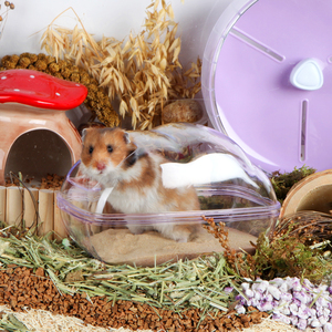 Bucatstate, venta al por mayor, transparente, gran espacio, acrílico, hámster, contenedor de baño, baño para mascotas pequeñas - Product Image 6