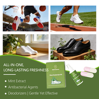 Kit Désodorisant Chaussures OEM en Gros – Spray et Boules Désodorisantes Éliminateur d'Odeurs pour Baskets, Bottes et Chaussures de Sport – Soin des Chaussures