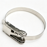 Collier de serrage métallique réutilisable en acier inoxydable à verrouillage rapide, résistant à la corrosion, pour le regroupement de câbles marins et extérieurs, et comme collier de serrage pour tuyaux