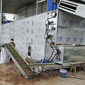 Séchoir à bande maillée continu pour plantes, machine de séchage à bande maillée pour avoine et herbes, séchoir à bande maillée pour plantes de stévia - Product Image 3