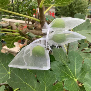 Tas Pohon buah, sayur, Tas Pohon buah, tas serut jala transparan, pelindung bernapas dan tahan serangga - Product Image 4