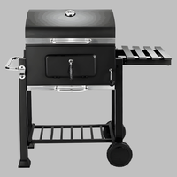 Gril BBQ Commercial en Acier Inoxydable pour Fruits et Thé, Gril à Charbon Santa Maria en Céramique