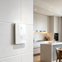 Pannello Interruttore Luce Intelligente a 2 Vie 10A 110-240V WiFi 2.4GHz Zigbee Compatibile con Alexa Google Home per Appartamenti