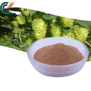 最高品質100%天然ハムルス・ルプルス（ホップフラワー）エキス99% ハムルス・ルプルスエキス粉末 - Product Image 1