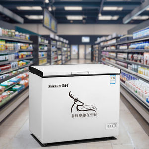 XUECUN/SNOW VILLAGE BD-358直接冷却ディープフリーザーチェストフリーザー冷蔵庫家庭用ホテルショップ用冷蔵庫 - Product Image 6