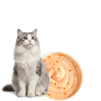 Bâtonnets de friandises pour chats saveur poulet et saumon, faibles en gras, supplément vitaminique, collation liquide pour chats, friandise humide pour animaux de compagnie en gros