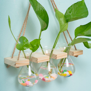<span class=keywords><strong>Vase</strong></span> en verre transparent suspendu en <span class=keywords><strong>bois</strong></span>, <span class=keywords><strong>vase</strong></span> <span class=keywords><strong>mural</strong></span> hydroponique rétro créatif, décoration de salon, ornements, <span class=keywords><strong>vase</strong></span> <span class=keywords><strong>mural</strong></span> en verre - Product Image 2