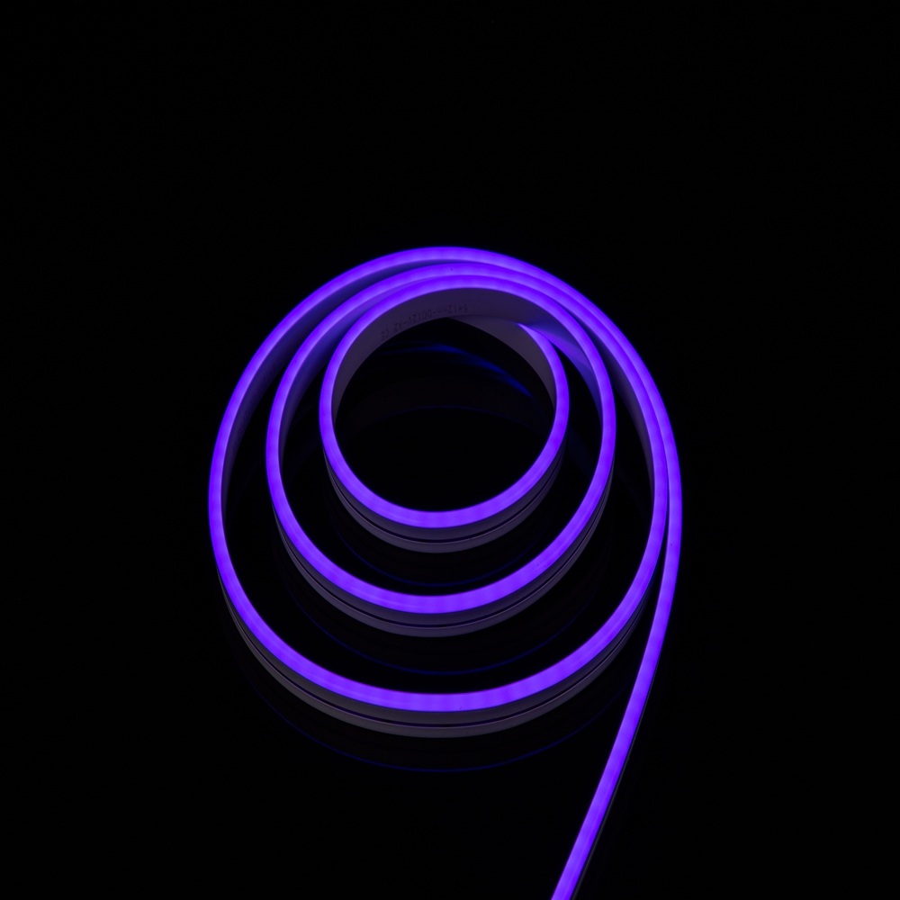 Pourpre