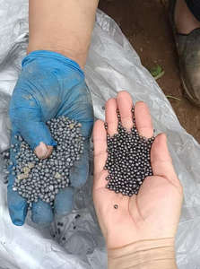 Pupuk Jagung Organik Cair Kompos Pupuk Organik Khusus untuk Tanaman Berbiji - Product Image 5